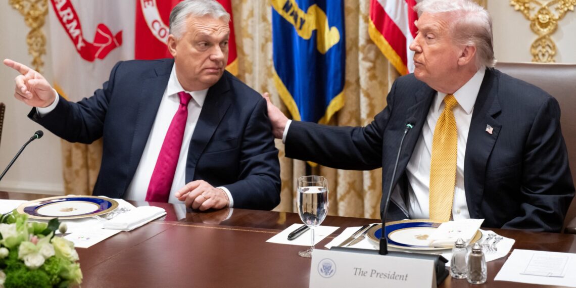 Donald Tramp i Viktor Orban tokom sastanka u Beloj kući